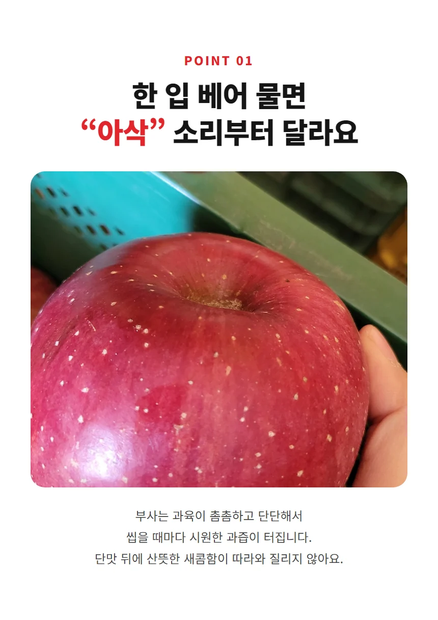 POINT 01 단단하고 아삭한 부사 식감