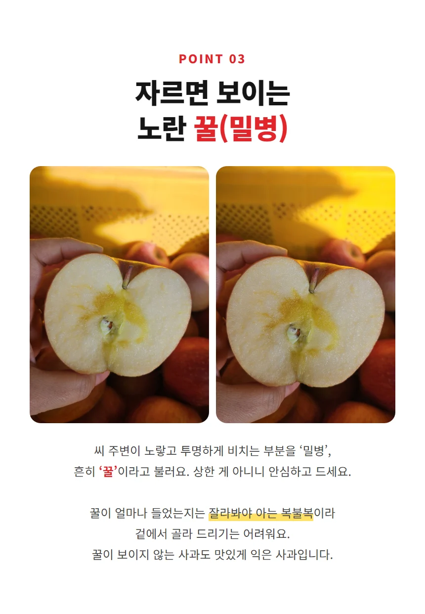 POINT 03 자르면 보이는 노란 꿀 밀병 부사