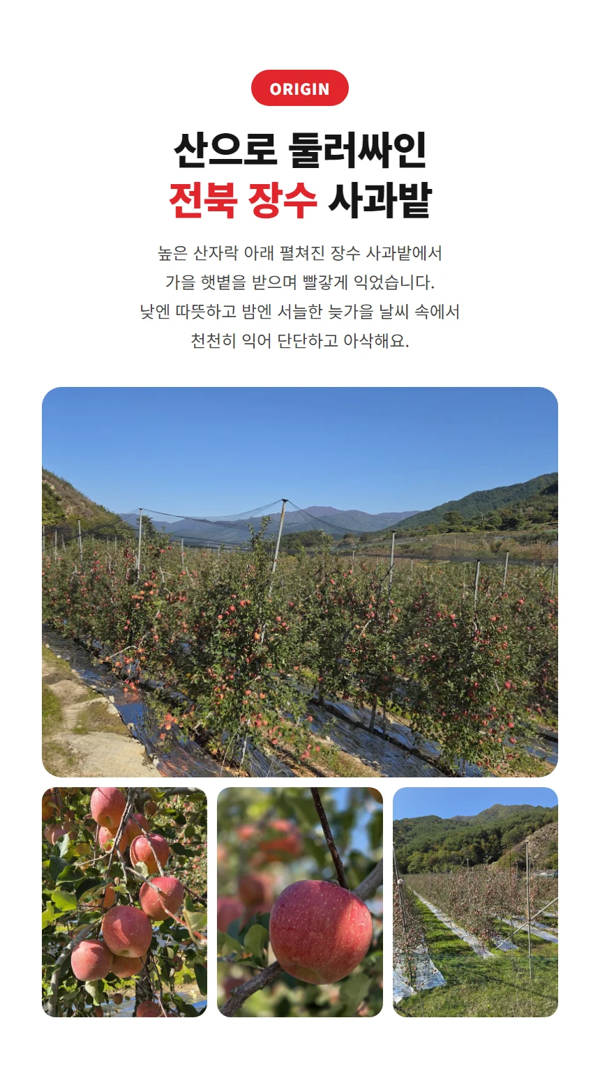 전북 장수 사과밭 산지 사진