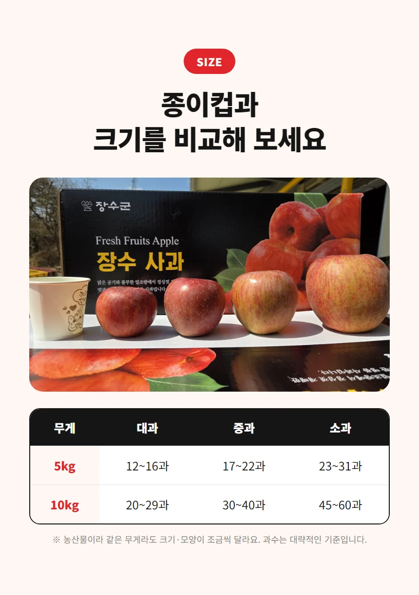 종이컵과 부사 크기 비교 및 옵션별 과수