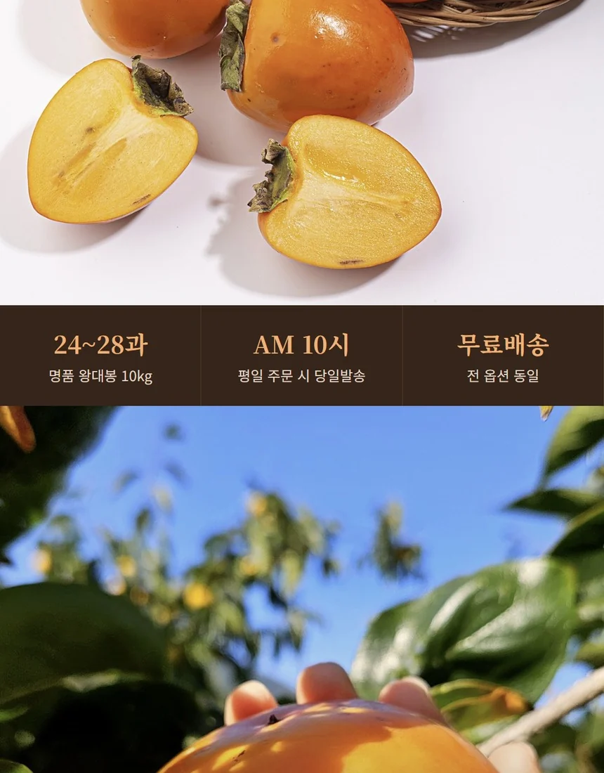 대봉감 10월 말부터 12월까지 제철, 손에 든 주황빛 대봉감
