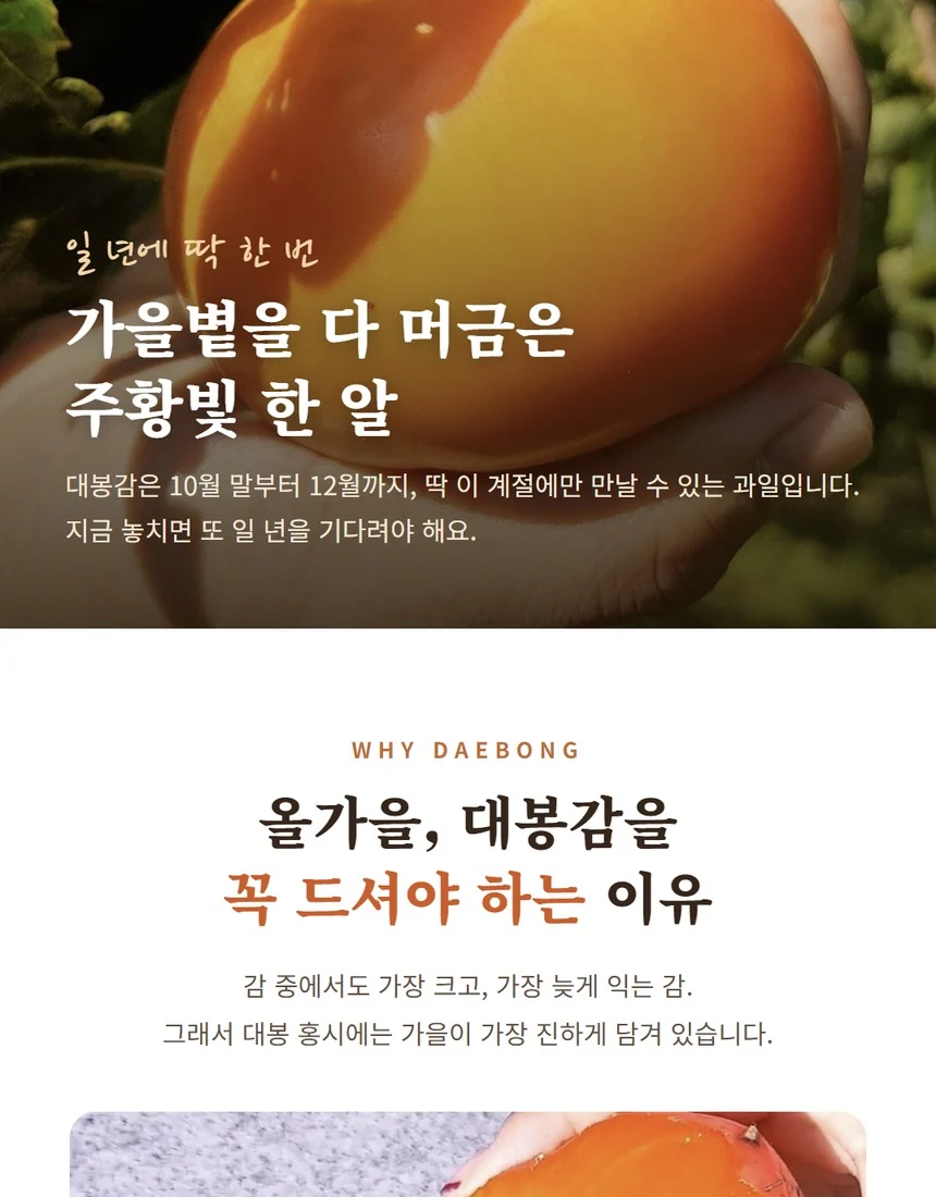 대봉감을 드셔야 하는 이유 - 반으로 가른 대봉 홍시