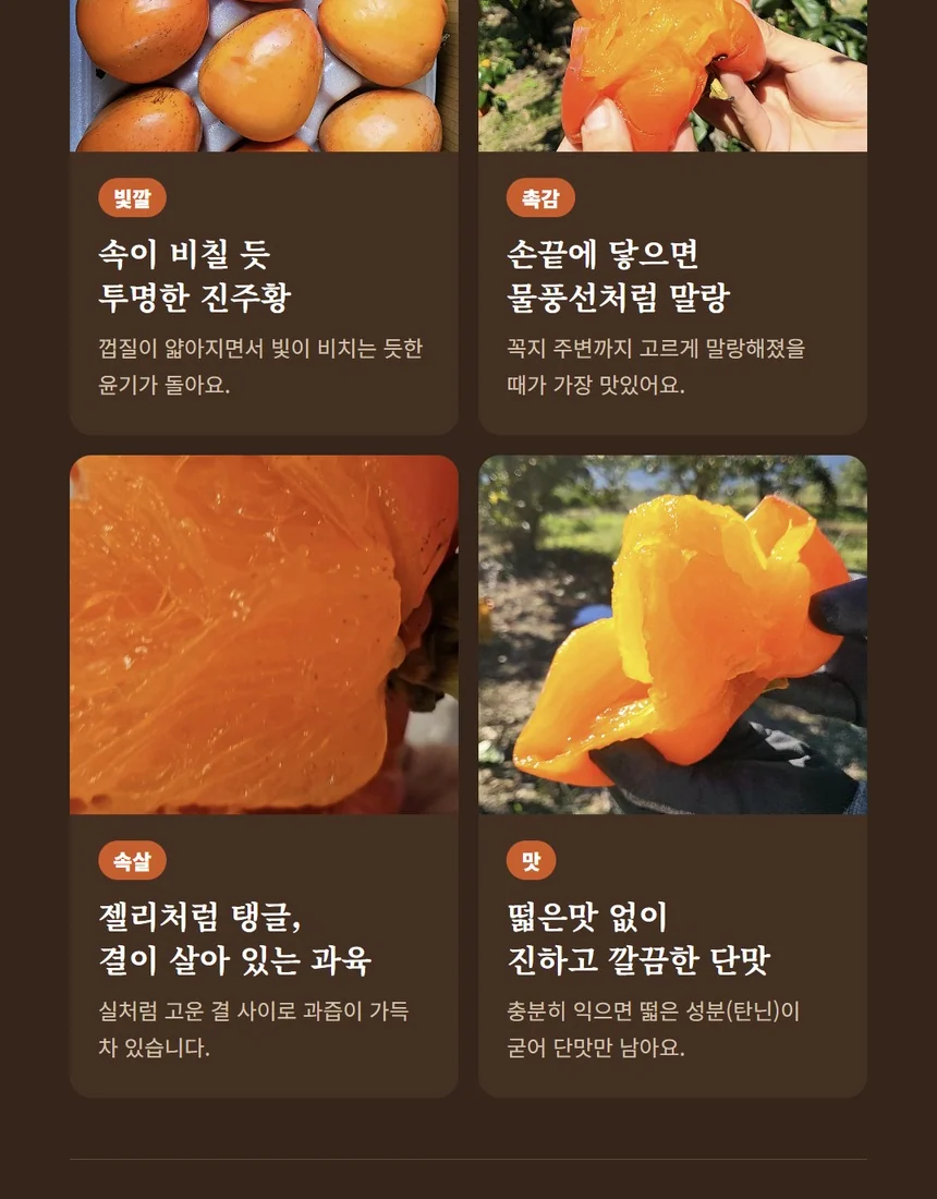 맛있는 대봉 홍시 - 젤리 같은 속살과 진한 단맛