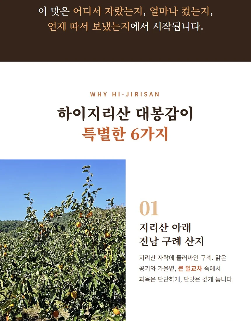 하이지리산 대봉감이 특별한 이유 - 지리산 아래 구례 산지