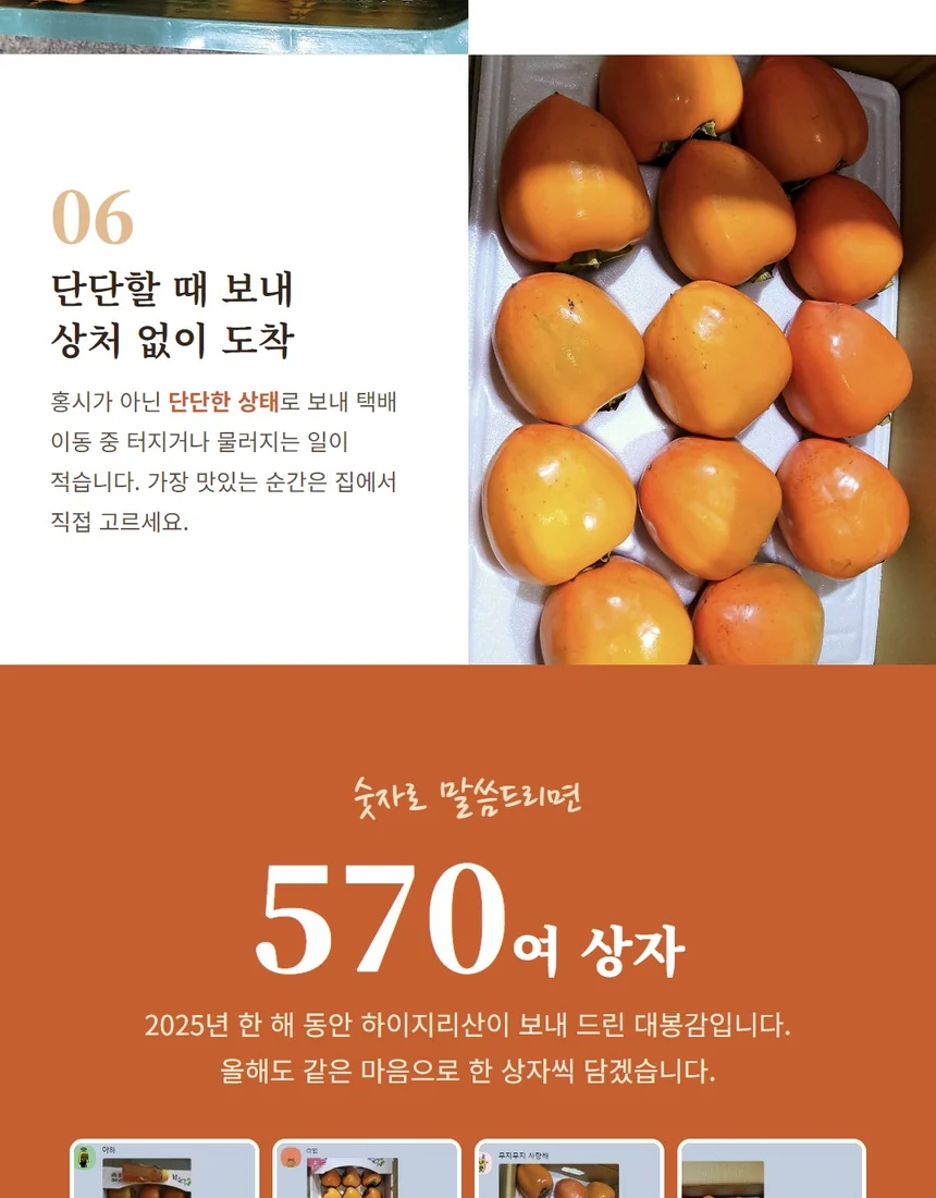 단단할 때 보내 상처 없이 도착하는 대봉감
