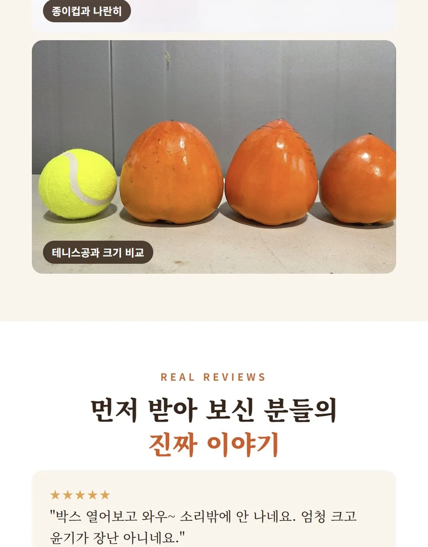 종이컵보다 큰 왕대봉 크기 비교