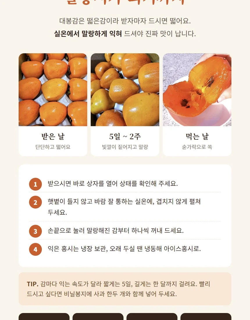 대봉감 후숙 방법 - 단단한 대봉이 꿀홍시가 되기까지