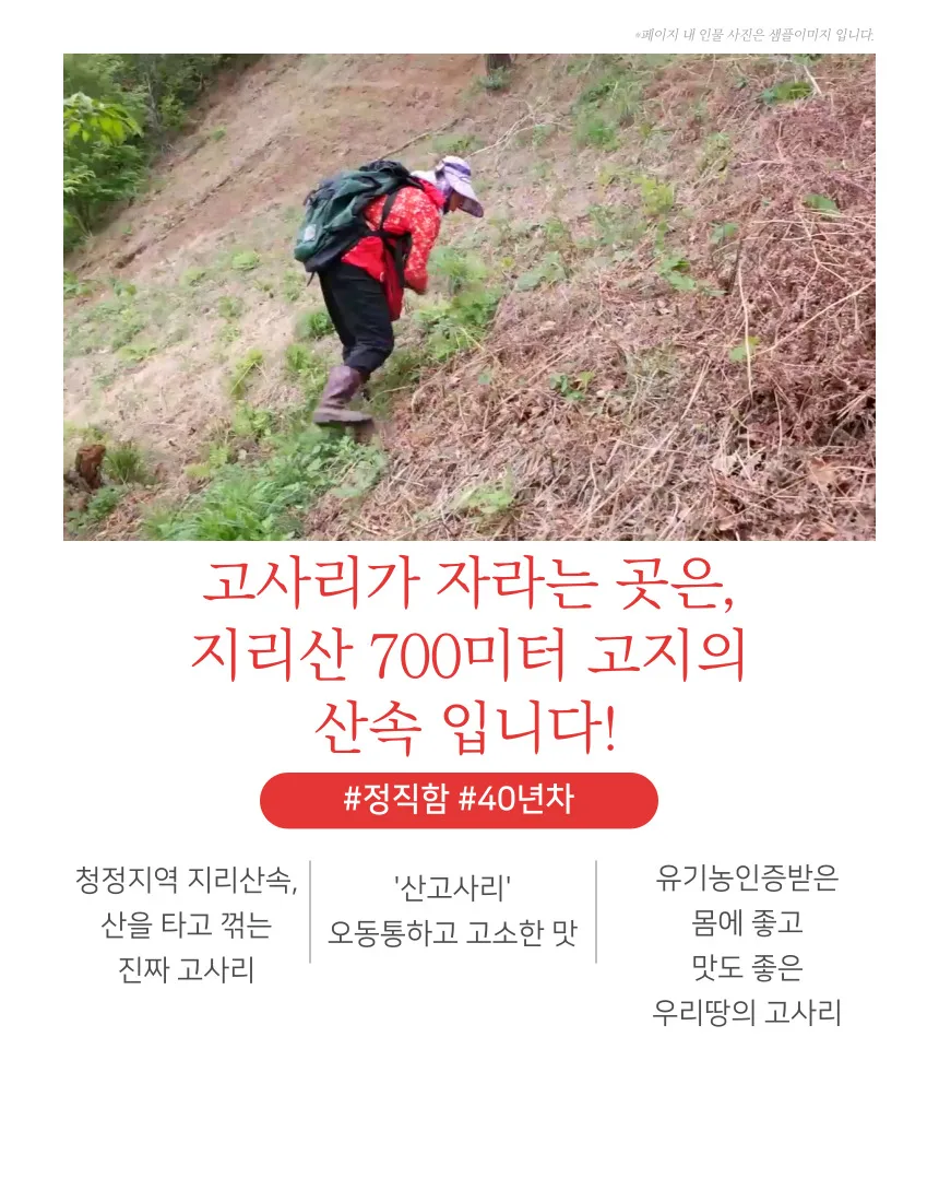 건고사리 지리산 햇고사리 대용량