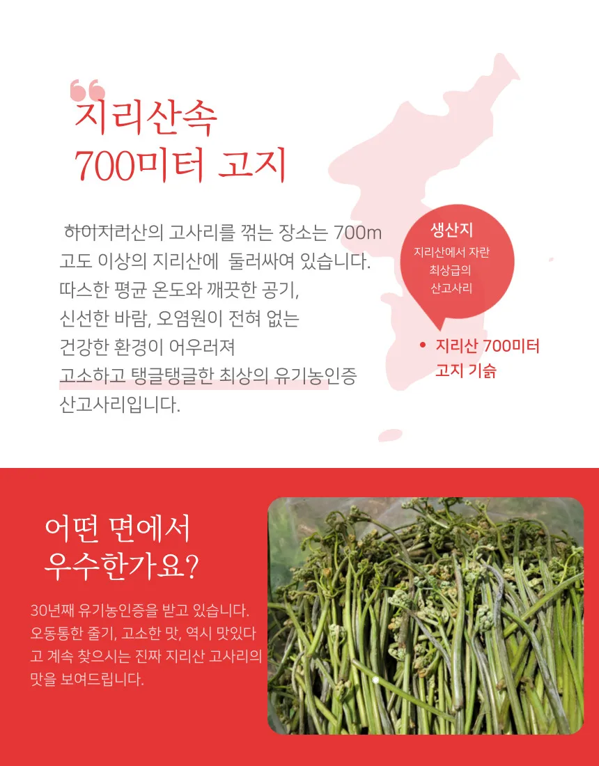 건고사리 지리산 햇고사리 대용량