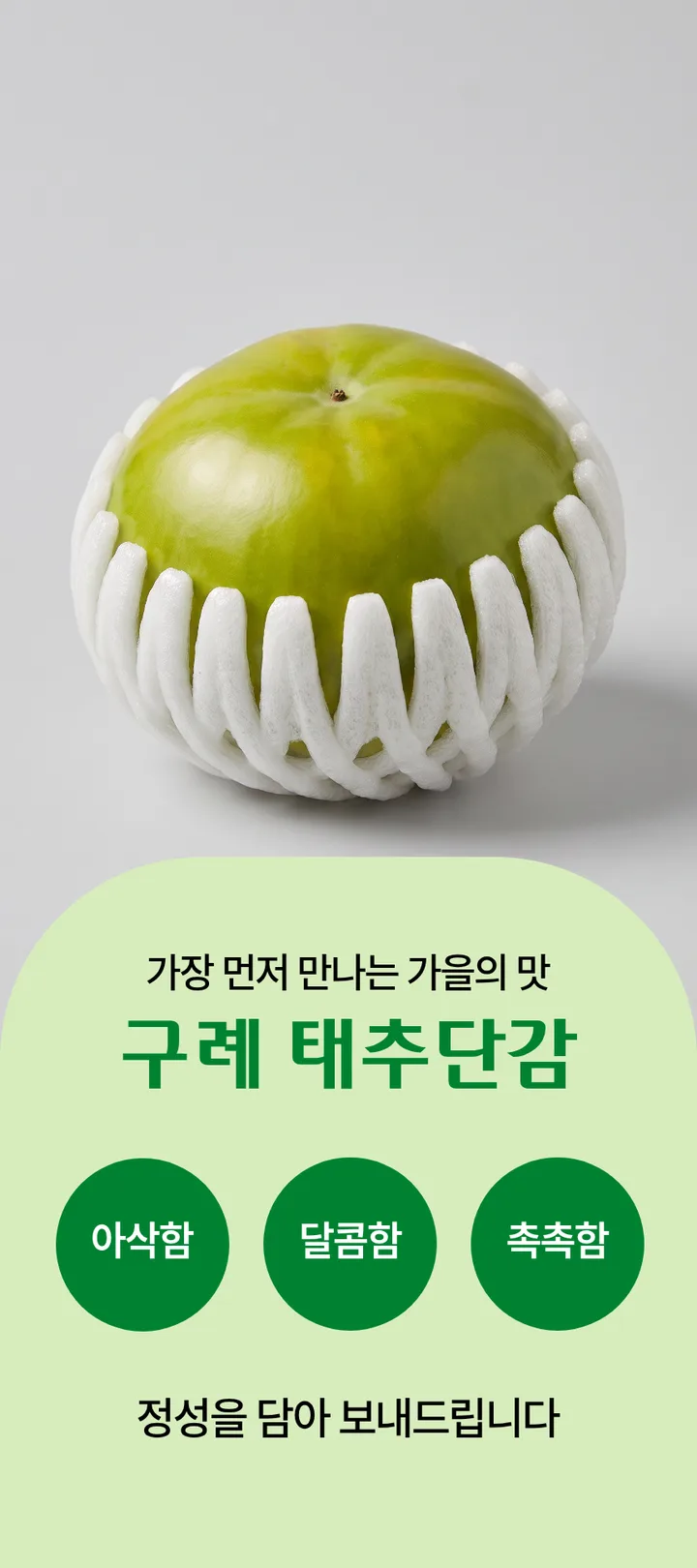 지리산 구례 태추단감 고당도 배단감 아삭달콤 햇단감 산지직송 추석선물 5kg
