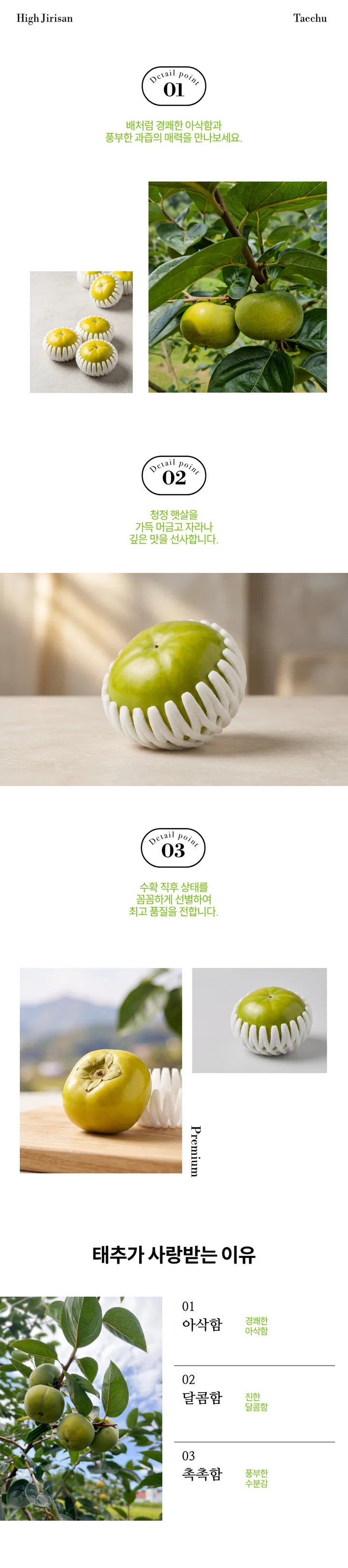지리산 구례 태추단감 고당도 배단감 아삭달콤 햇단감 산지직송 추석선물 5kg